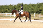 SBM_004806
