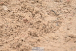 240720A-113020-14490
