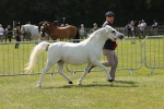 SBM_02396