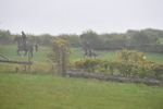 WJ5_7352