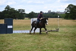 WJ6_5844