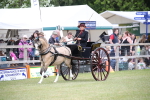 SBM_05935