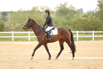SBM_006854