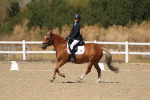 SBM_013747