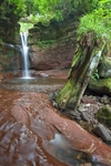 Waterfall Kelburn by Largs