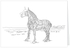 A5 Greeting Card of The Lifeboat Horse at Wells Quay