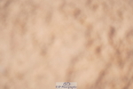 240506A-111422-08530