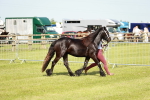 SBM_00892