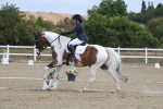 SBM_021064