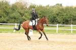SBM_003594