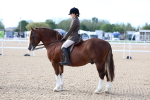 SBM_16754