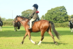 SBM_59935