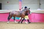 SBM_00435