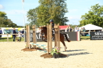 SBM_39304