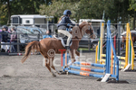 North Showjumping_2016-7