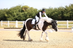 SBM_008648