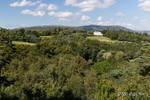 Lush green growth over the Belfast Hills.