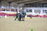 SBM_10180