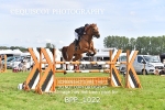 BPP_1022