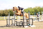 SBM_003135