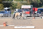 BPP_8458