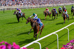 110726-Race 2-The Lost King-0141