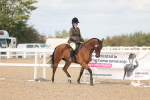 SBM_15953