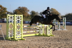 20261031-1667