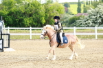 SBM_006355