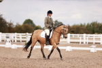 SBM_06345