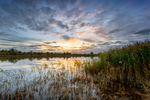 Hinchingbrooke Sunset