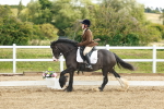 SBM_007690