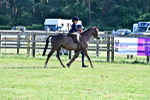 SBM_19801