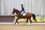 SBM_001925