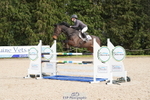 13 Foxhunter 1m 20 Open portfolio