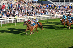240726-Race 4-Rajaking-0427