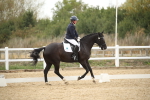 SBM_002931