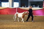 SBM_18505