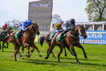 020526-Race 5-Emperor Caradoc-9885