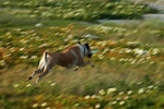 On the move