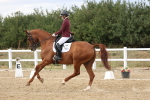 SBM_011942