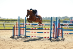 SBM_002043