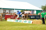 SBM_04590