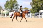 SBM_12908