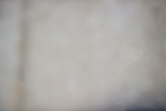 SBM_008942