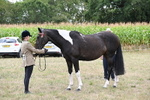 WJ6_5624