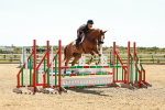 SBM_006507