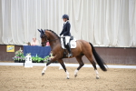 SBM_002871