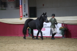 SBM_04964