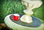 Coffee Cup Resting